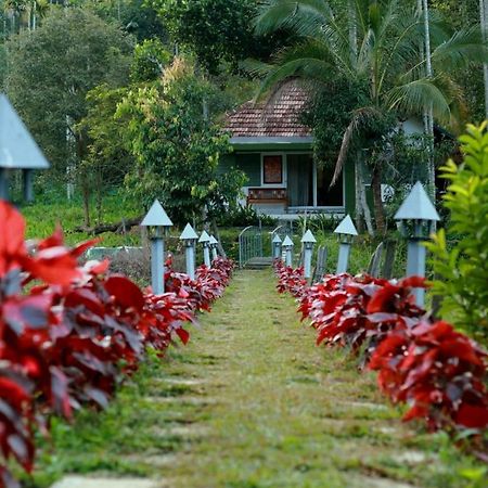 Ayurnest Pool Resort Wayanad Batheri Екстер'єр фото