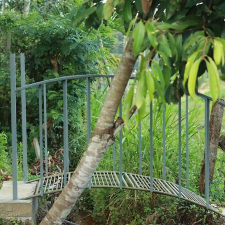 Ayurnest Pool Resort Wayanad Batheri Екстер'єр фото