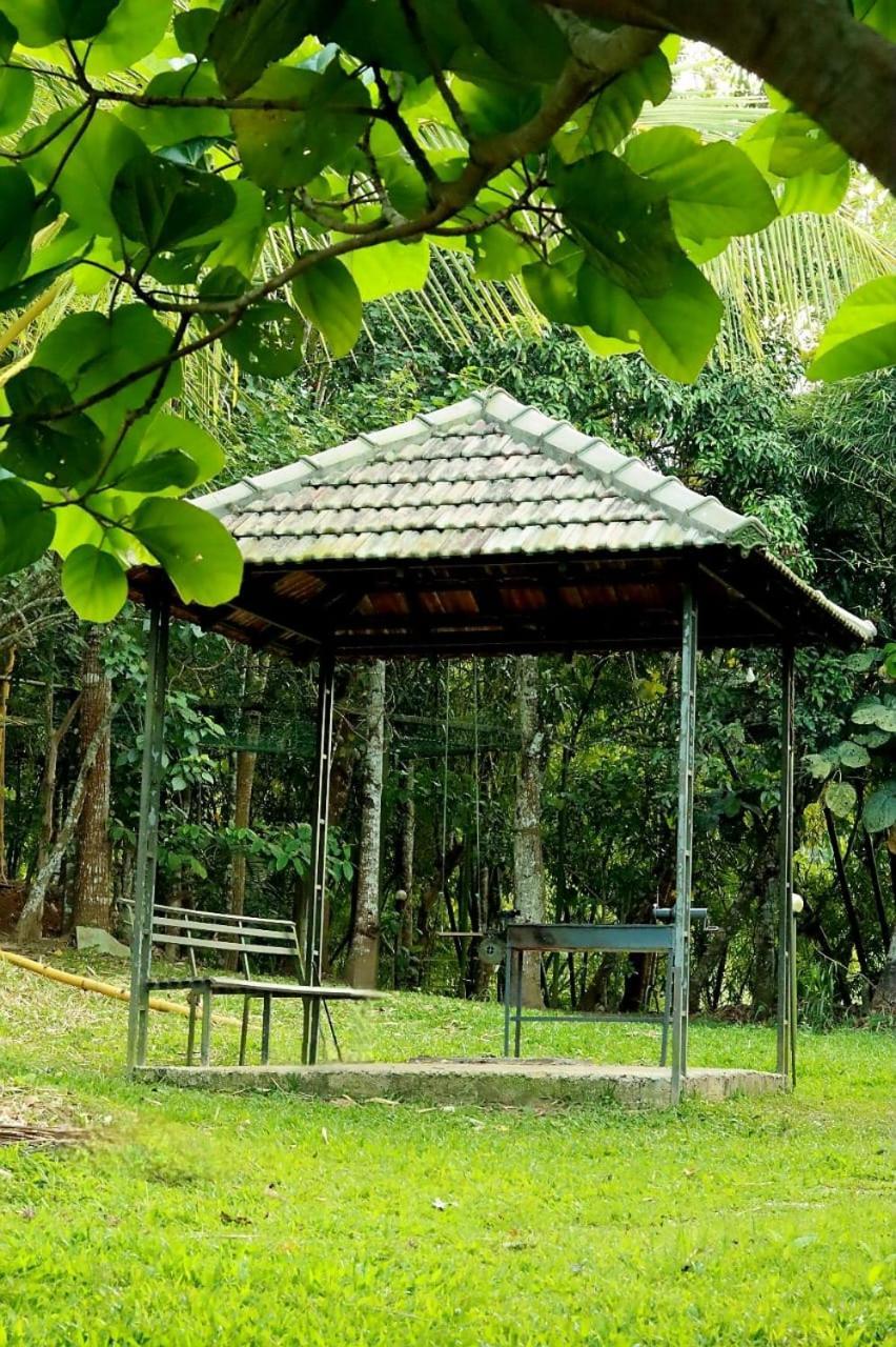 Ayurnest Pool Resort Wayanad Batheri Екстер'єр фото