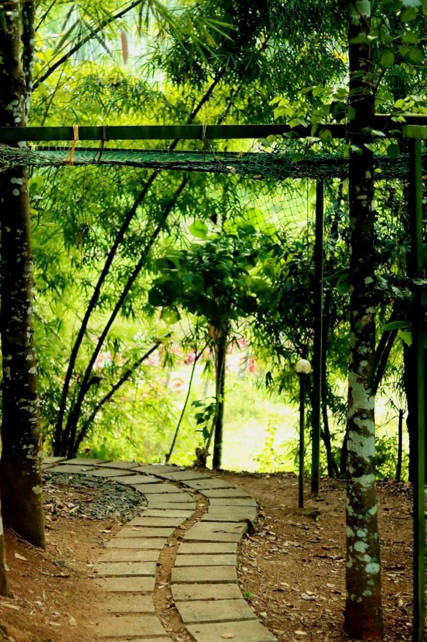 Ayurnest Pool Resort Wayanad Batheri Екстер'єр фото