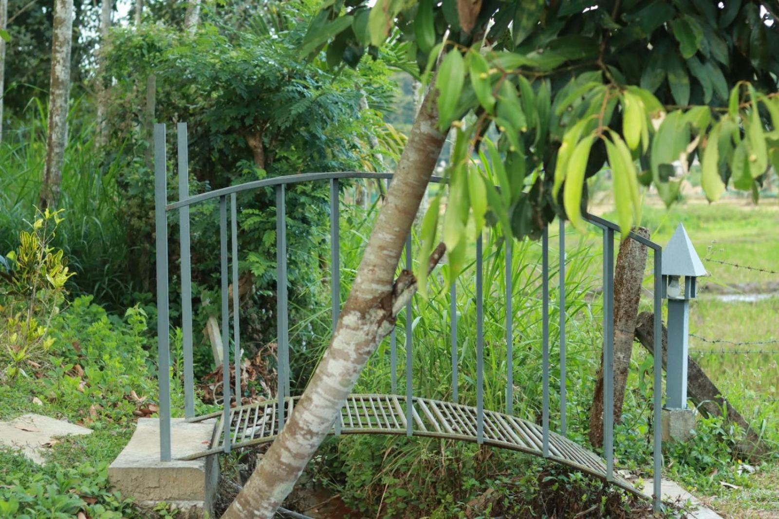 Ayurnest Pool Resort Wayanad Batheri Екстер'єр фото
